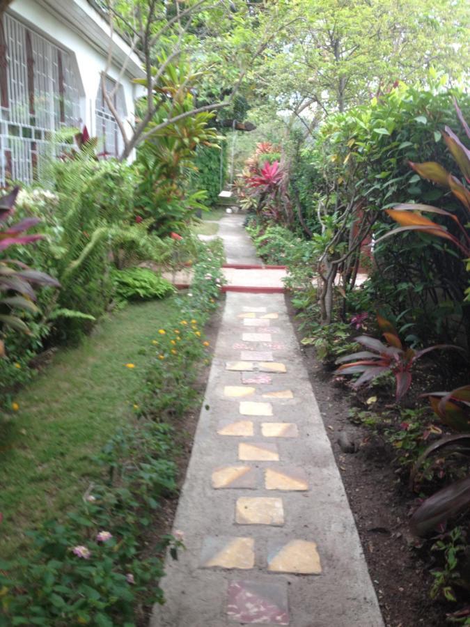 15 Min From The Airport In Kingston Jamaica Apartment ภายนอก รูปภาพ